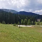 Dobi's Elit47 At Elit * Пампорово