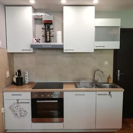 Dobi's Elit47 At Elit Apartment Pamporovo