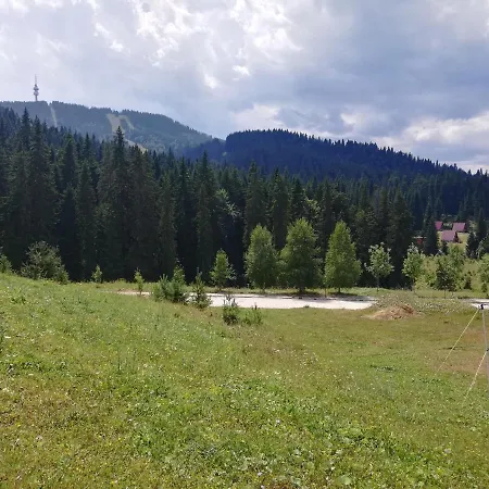 Dobi's Elit47 At Elit * Pamporovo