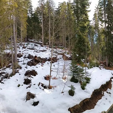 Dobi's Elit47 At Elit Apartment