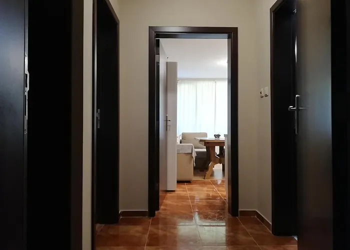 Dobi's Elit47 At Elit *