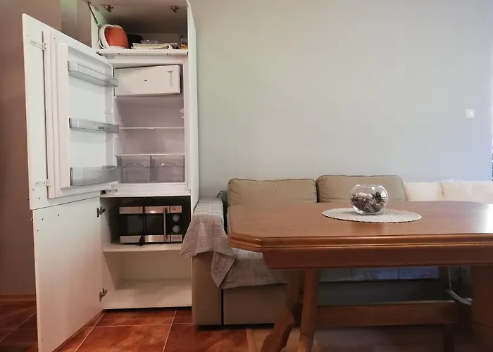 Dobi's Elit47 At Elit Пампорово