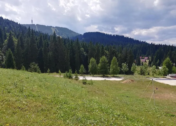 Dobi's Elit47 At Elit * Пампорово