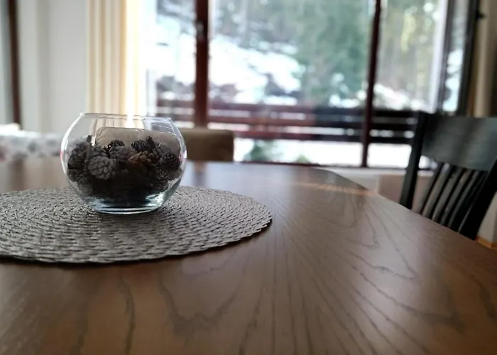 Dobi's Elit47 At Elit Пампорово