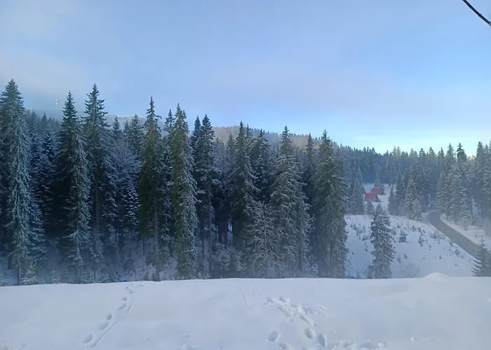 Dobi's Elit47 At Elit Пампорово